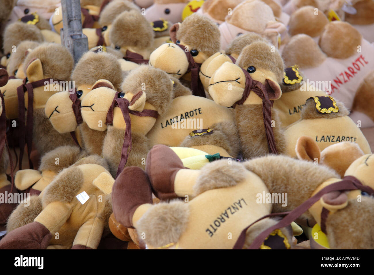 Stuffed camels in Lanzarote Stock Photo