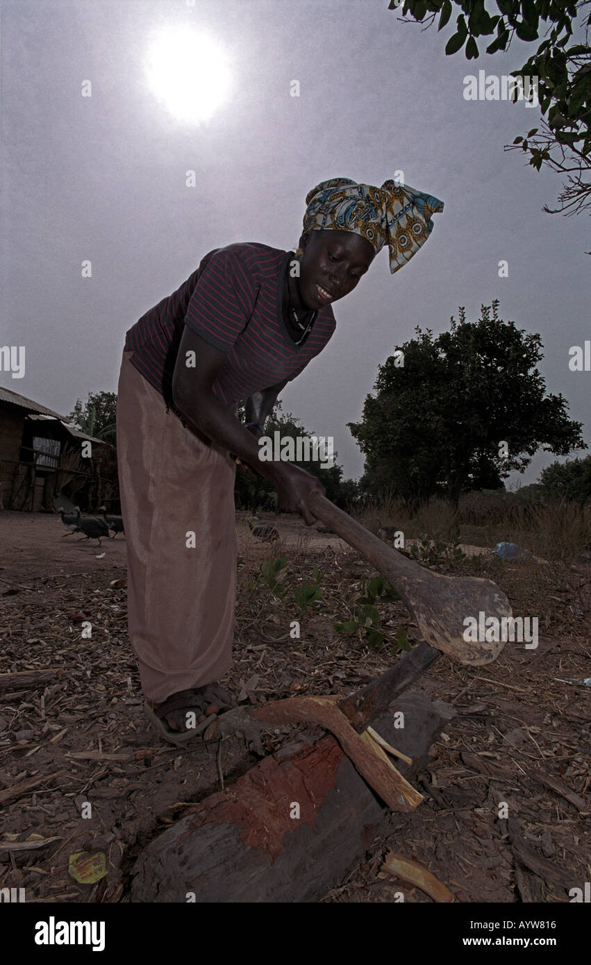An African woman farming in The Gambia West Africa Stock Photo