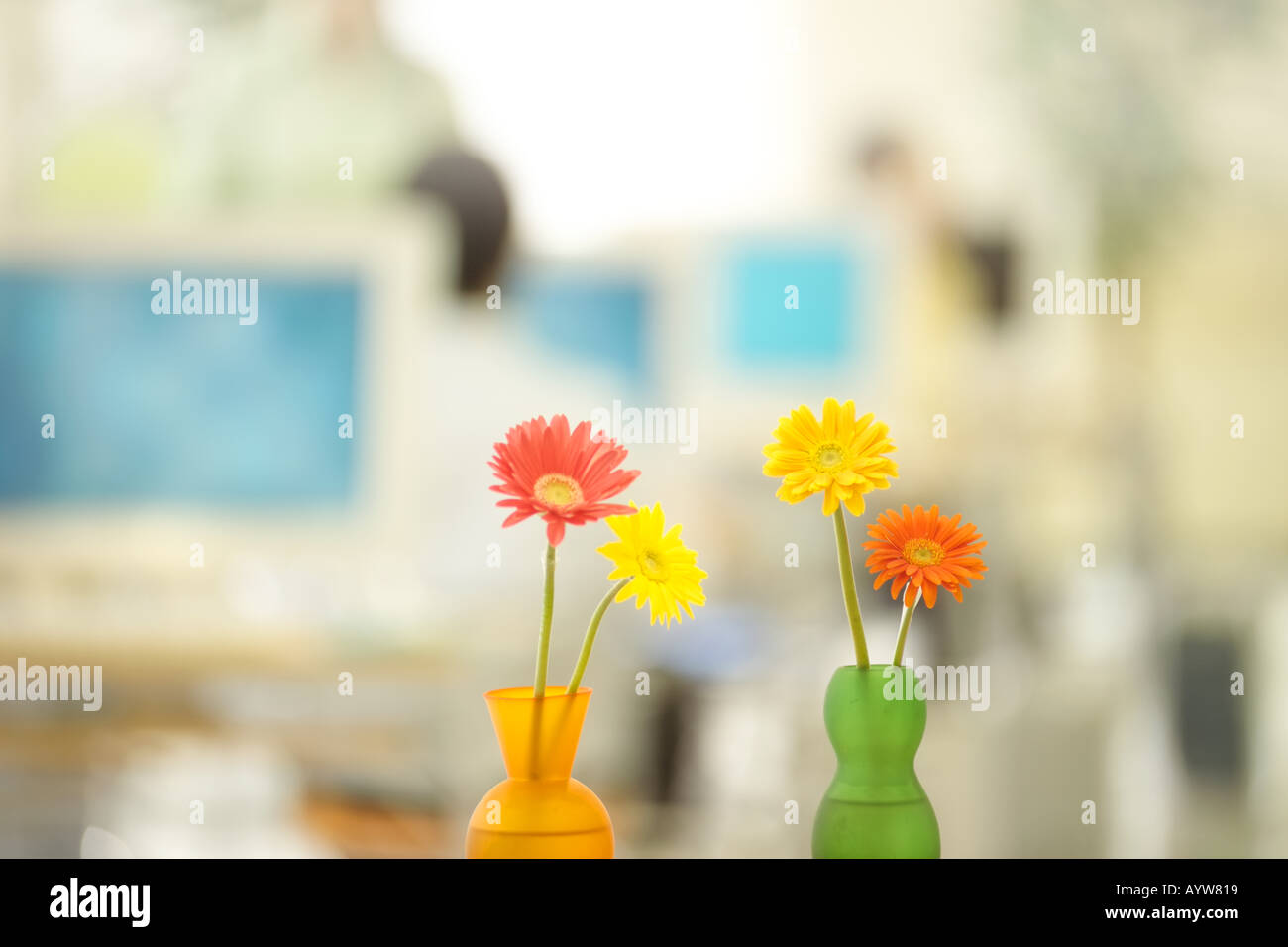 Office interior with flowers Stock Photo - Alamy