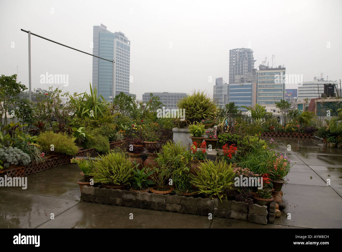 Roof top garden in Dhaka Bangladesh Stock Photo Alamy