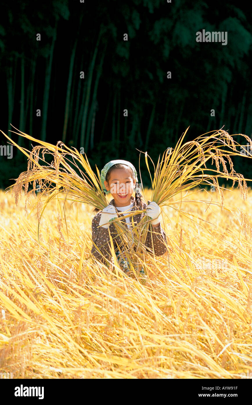 Girl harvesting rice Stock Photo