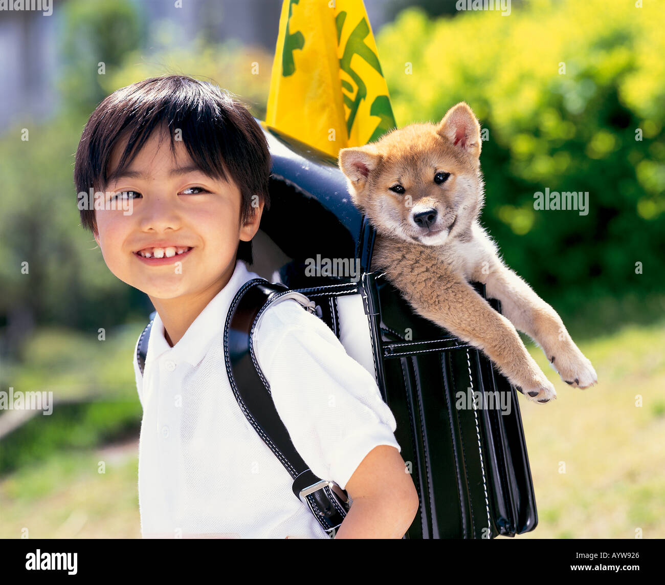 The boy with a dog hires stock photography and images Alamy
