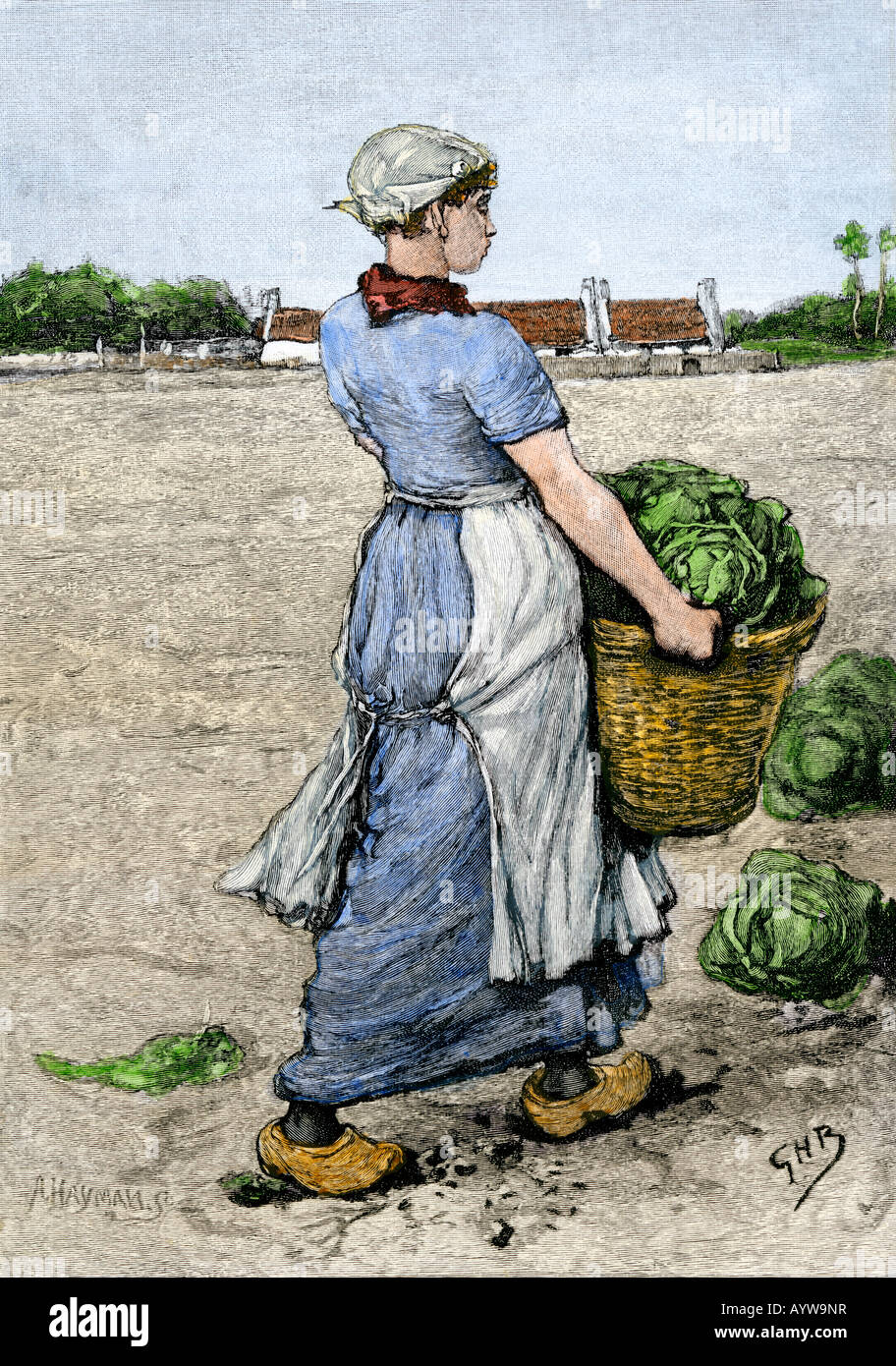Young Dutch woman gathering cabbages in a basket 1800s. Hand-colored woodcut Stock Photo