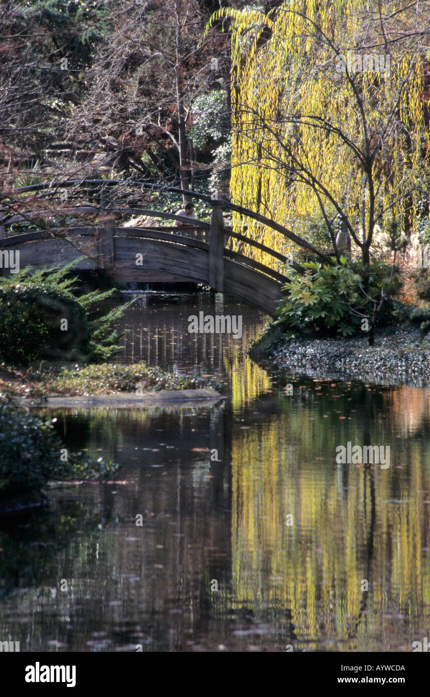 Japanese Water Gardens Fort Worth Texas Stock Photo 3202265 Alamy