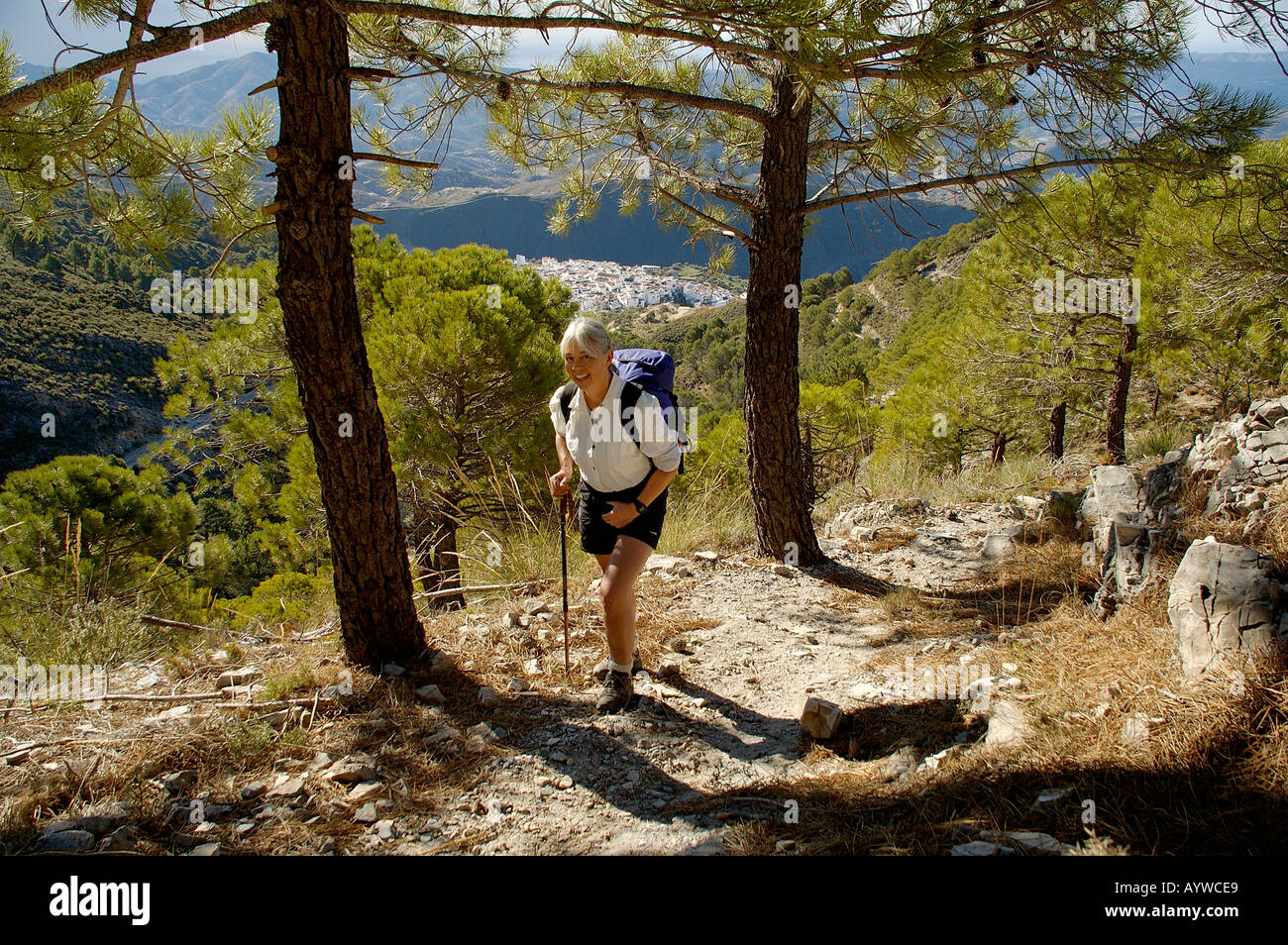 Healthy woman 59 years old trekking hiking walking in mountains of Axarquia Andalucia Spain Post menopause building stron Stock Photo