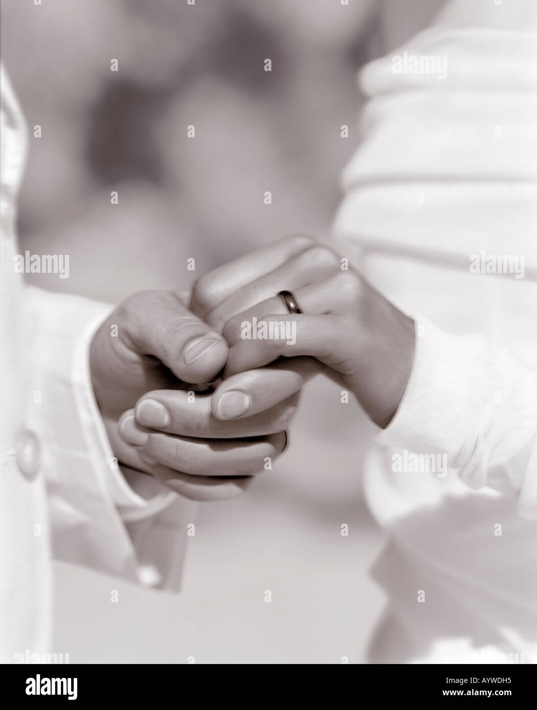 A new bride and groom's tender touch Stock Photo