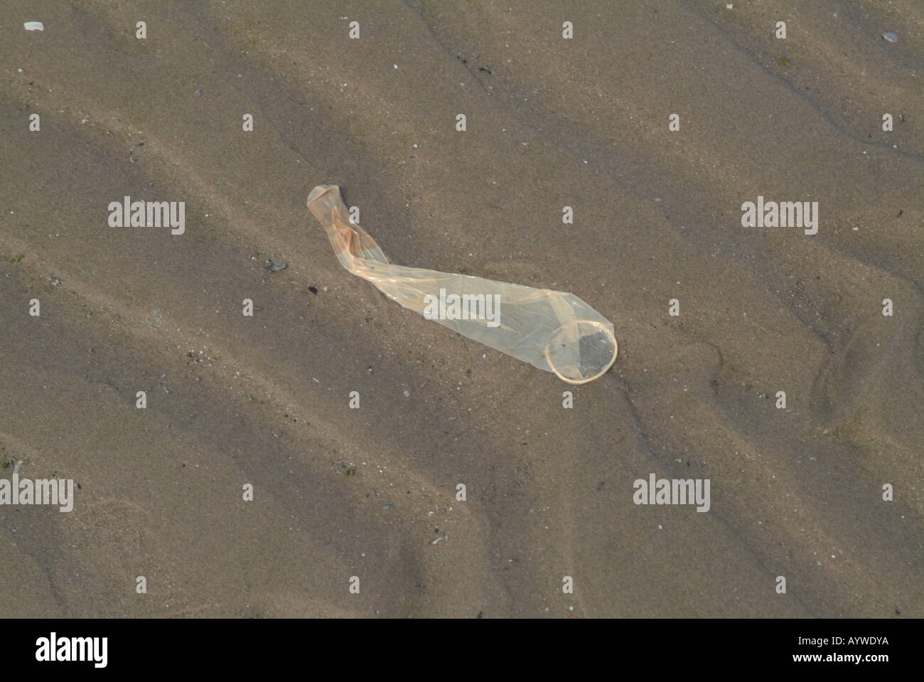 Condom lying on the beach at West Brighton, Wirral, Merseyside, Stock Photo