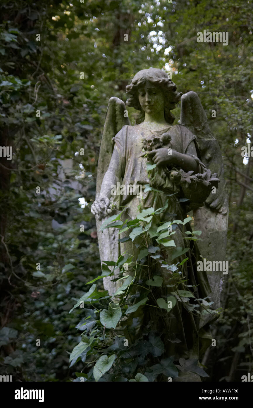Angel statue in Highgate Cemetery in London England Stock Photo Alamy