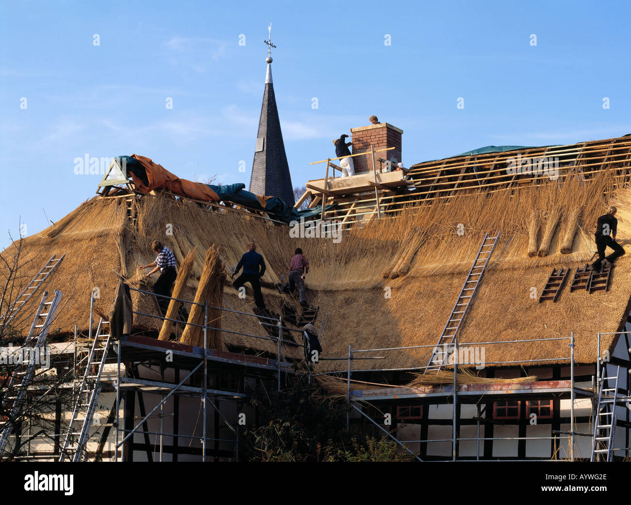 Dachdecker decken ein Reetdach, Lindlar, Naturpark Bergisches Land, Nordrhein-Westfalen Stock Photo