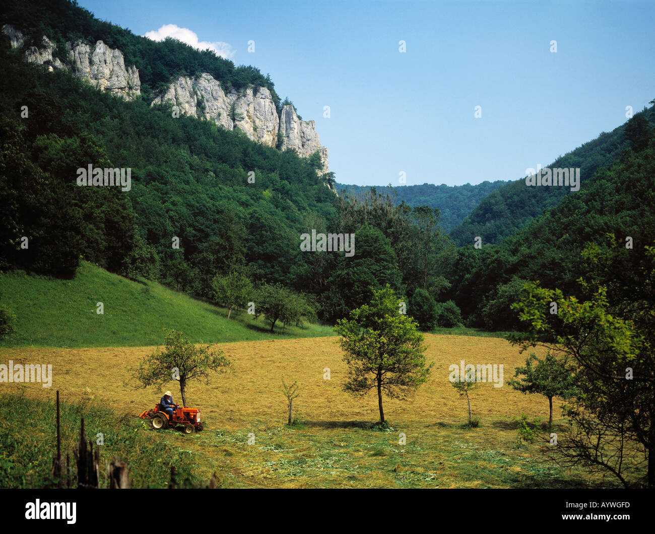 typische Felsenlandschaft Schwaebische Alb bei Bad Urach, Schwaebische Alb, Baden-Wuerttemberg Stock Photo