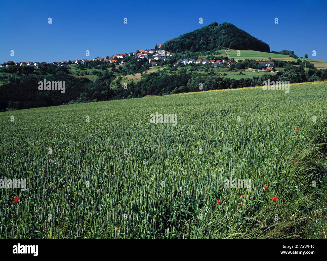 Huegellandschaft, huegelige Landschaft, Kornfeld mit Hohenstaufen, Goeppingen, Schwaebische Alb, Baden-Wuerttemberg Stock Photo