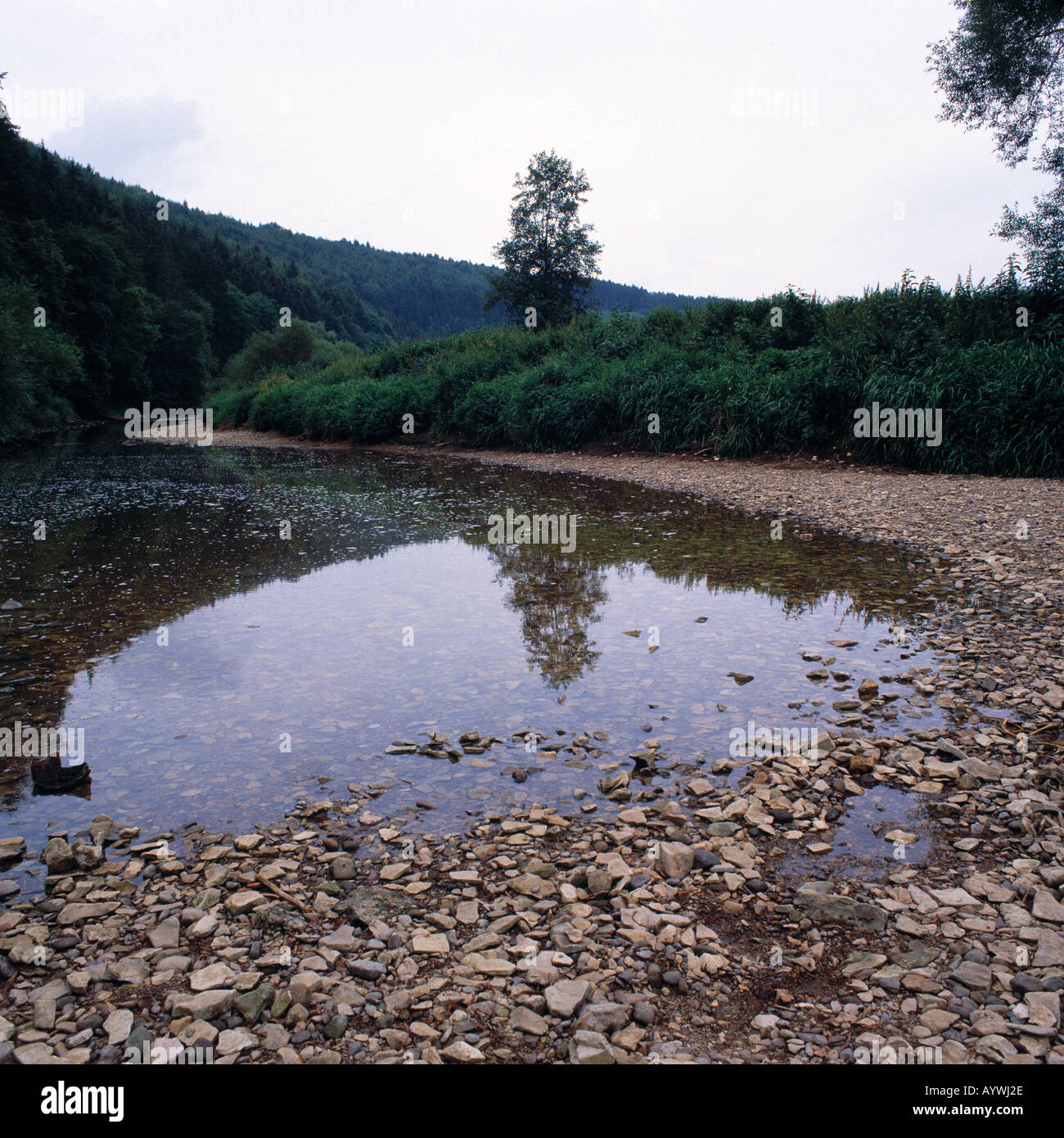 Versickerung der Donau bei Immendingen Oberes Donautal, Baden-Wuerttemberg Stock Photo