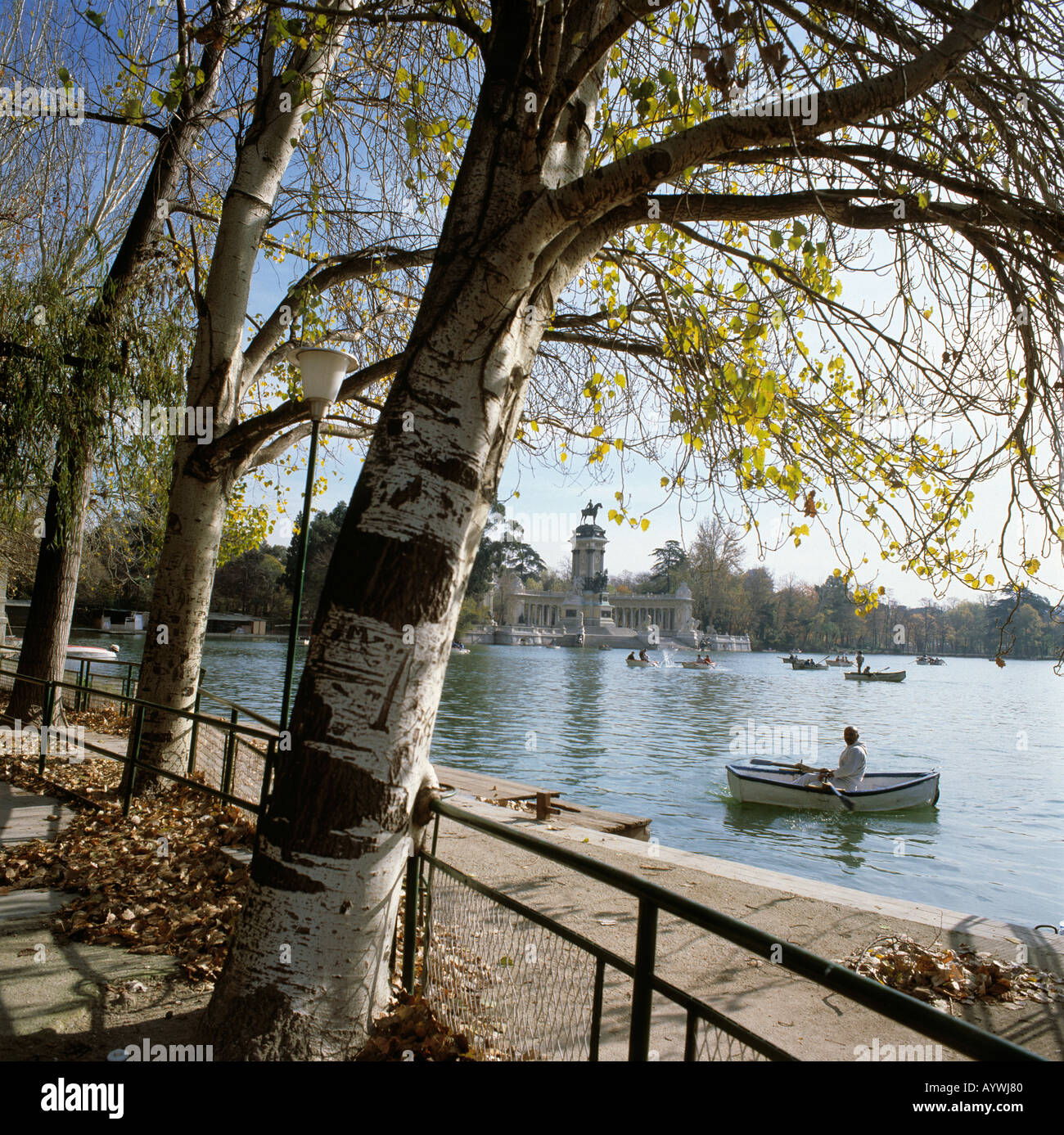 Parque del Retiro, Retiro-Park, Denkmal Koenig Alfons XII, Teich mit Ruderbooten, herbstliche Birken, Madrid Stock Photo
