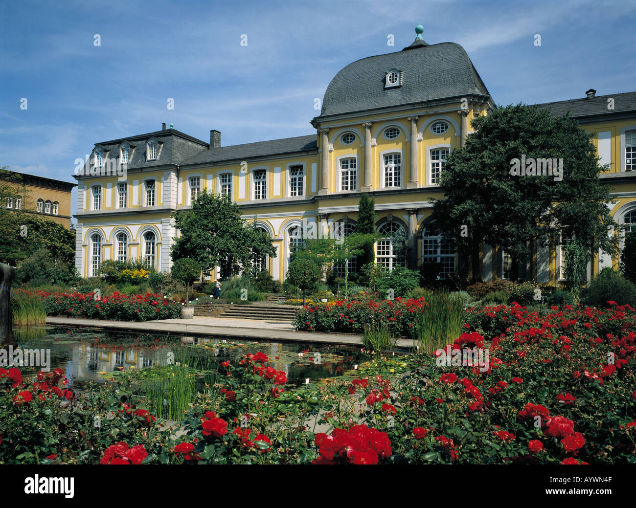 Poppelsdorfer Schloss, Schlosspark, Gartenanlage, Blumenbeete
