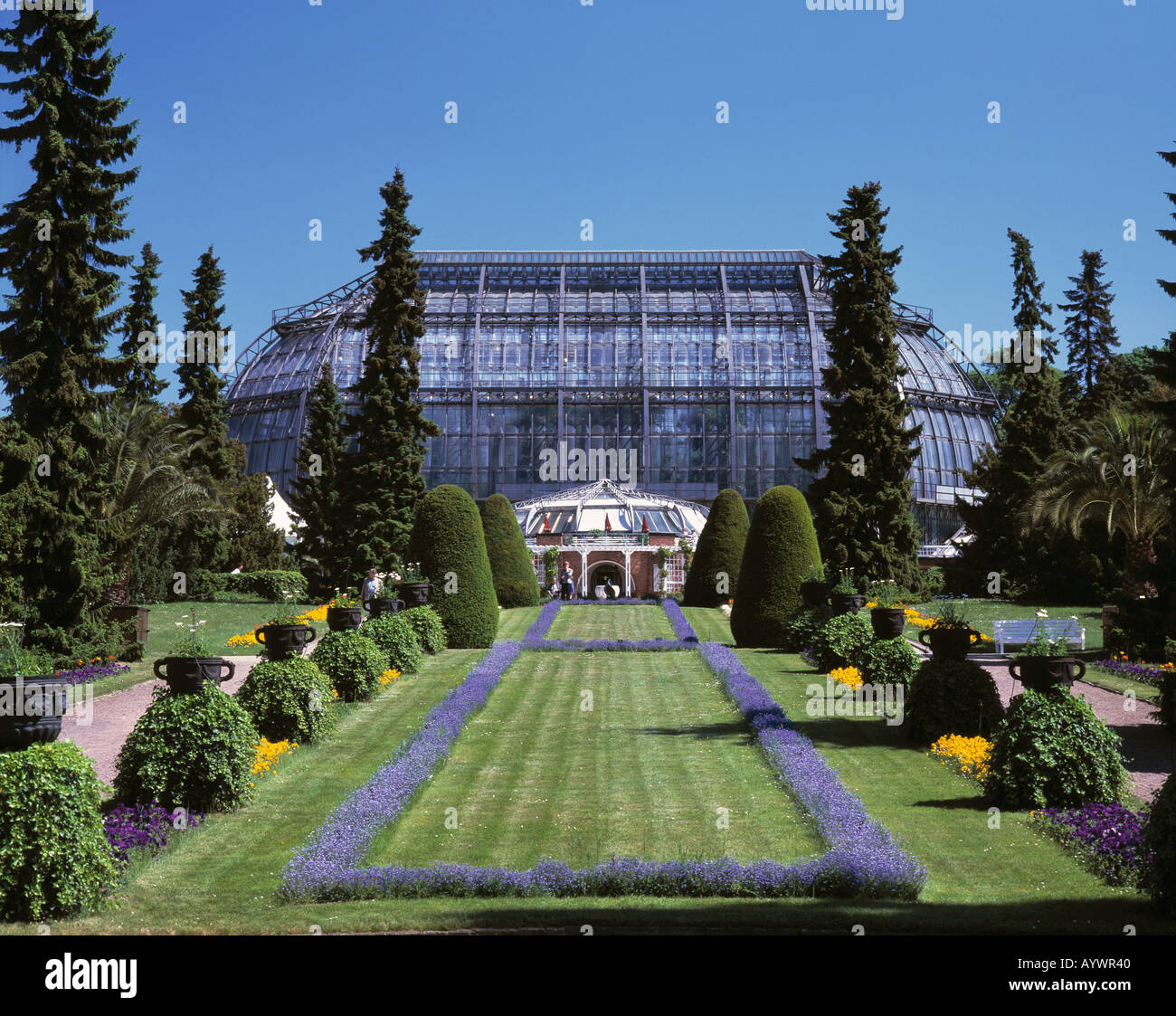 31+ Tropenhaus Botanischer Garten Berlin, Vor mehr als 100 jahren