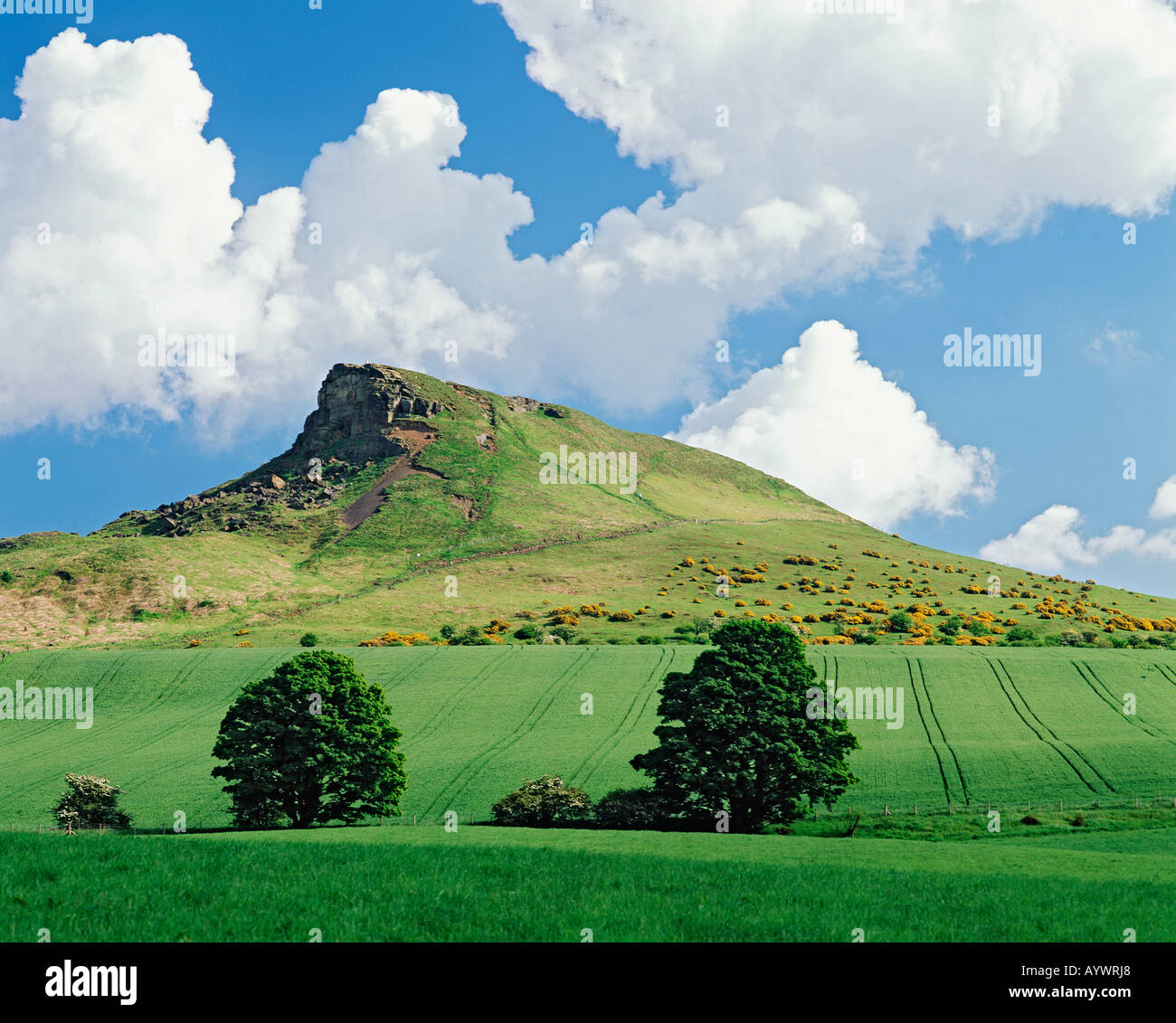 GB YORKSHIRE NORTH YORK MOORS ROSEBERRY TOPPING NEAR GREAT AYTON Stock