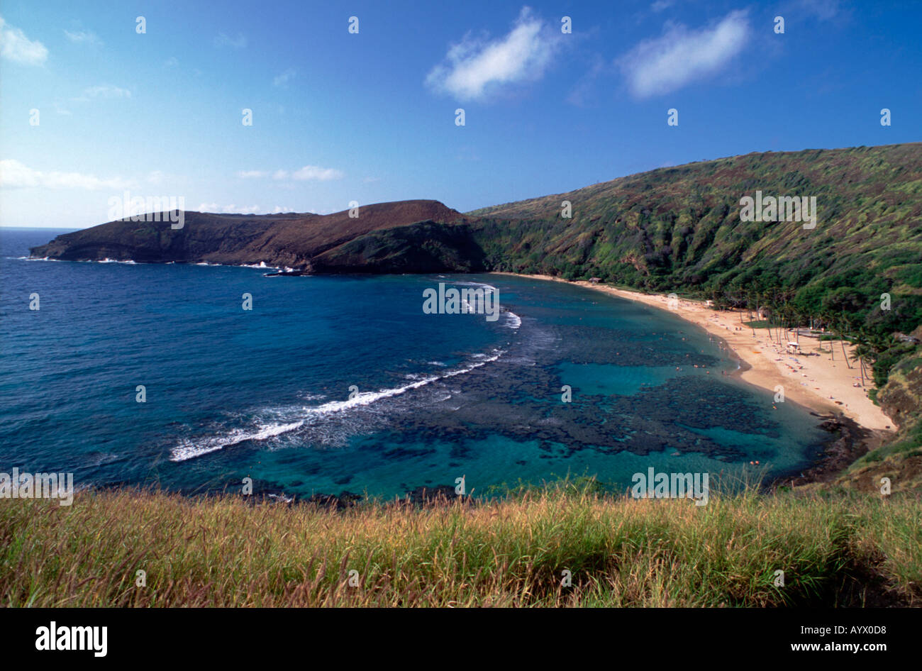 Hanauma Bay nature preserve Oahu Hawaii A popular SCUBA dive and
