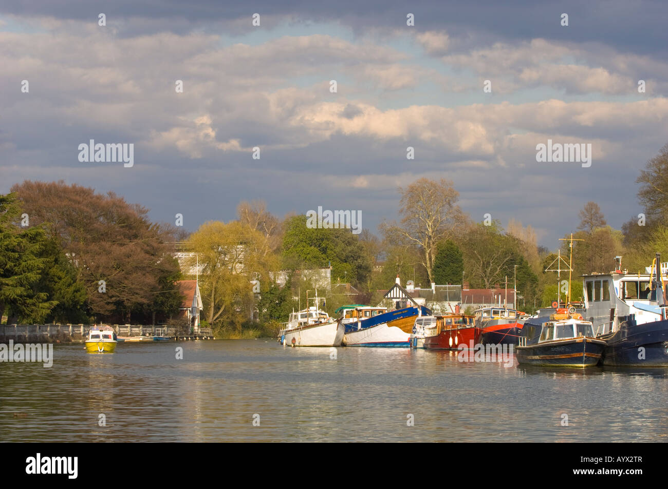 River Thames in Twickenham TW10 Surrey United Kingdom Stock Photo