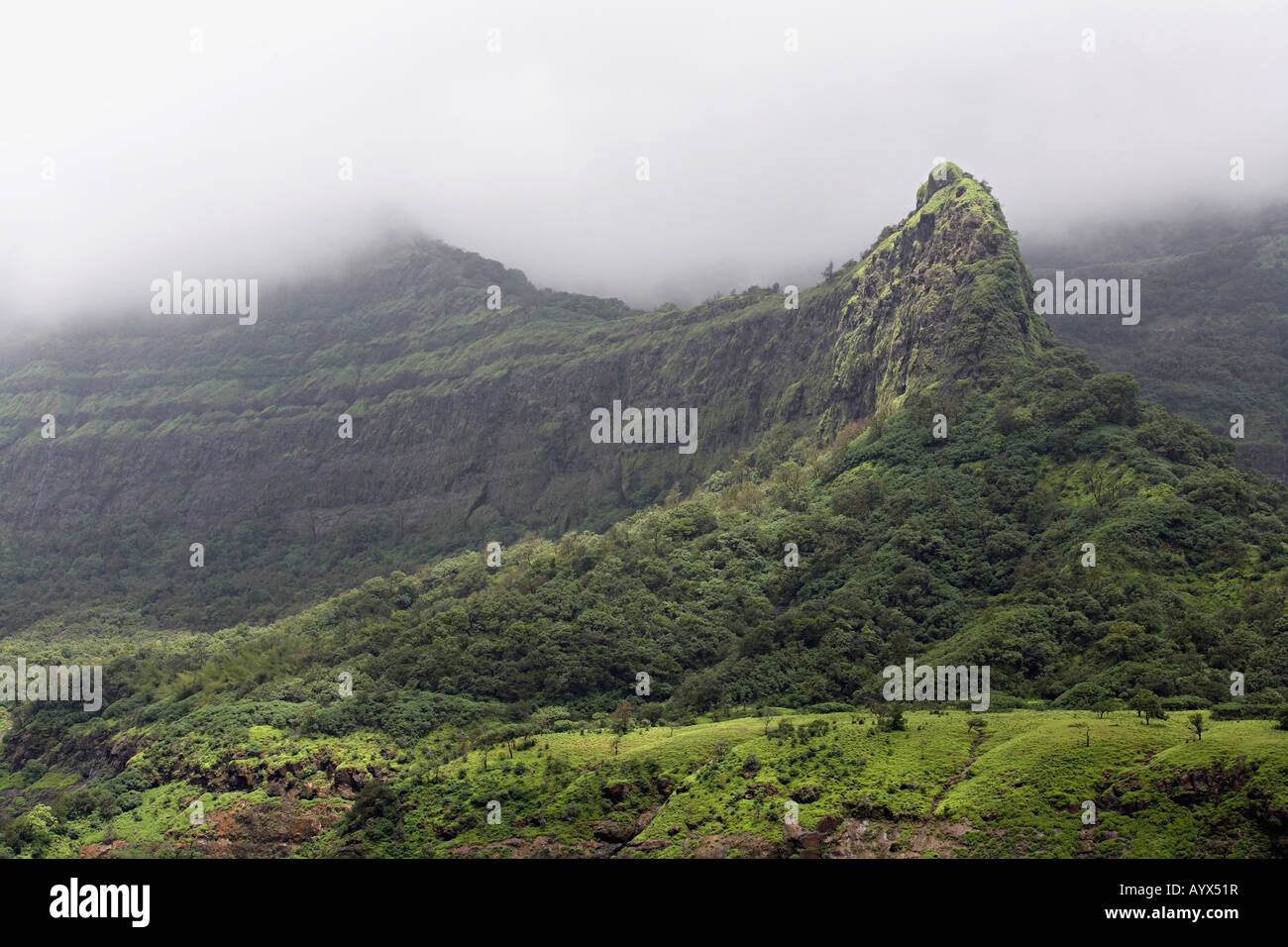 Sahyadri Mountains at Tamhini, Pune. Stock Photo