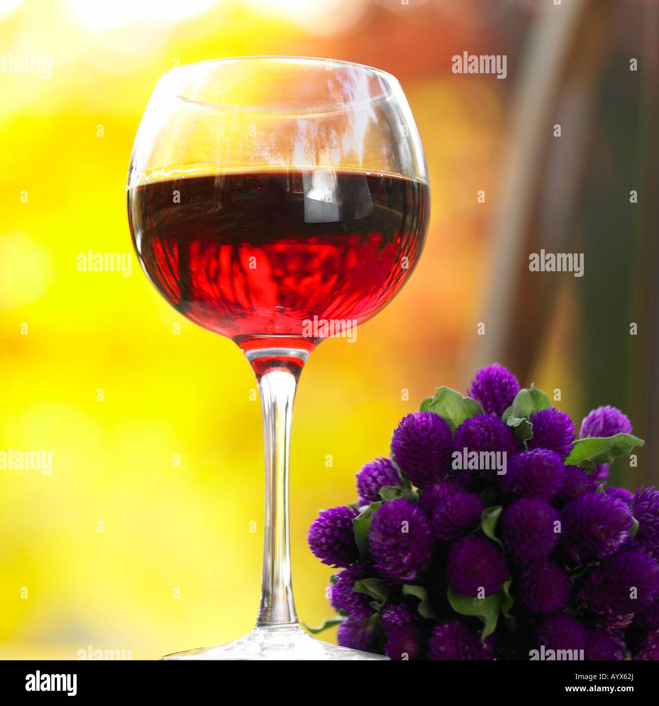 Violet glass hires stock photography and images Alamy