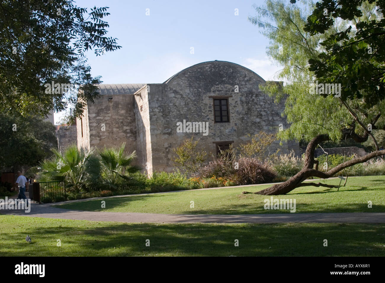 Mission San Antonio de Valero (The Alamo) was established in 1718 as the city’s first mission. Stock Photo