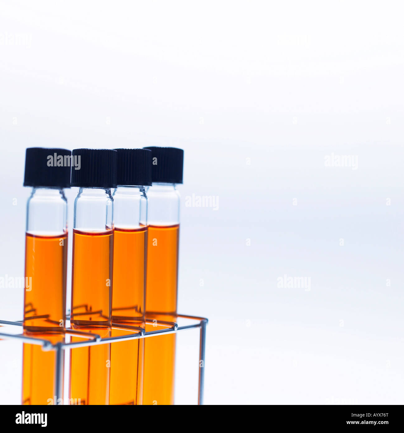 test tube with orange fluid Stock Photo Alamy