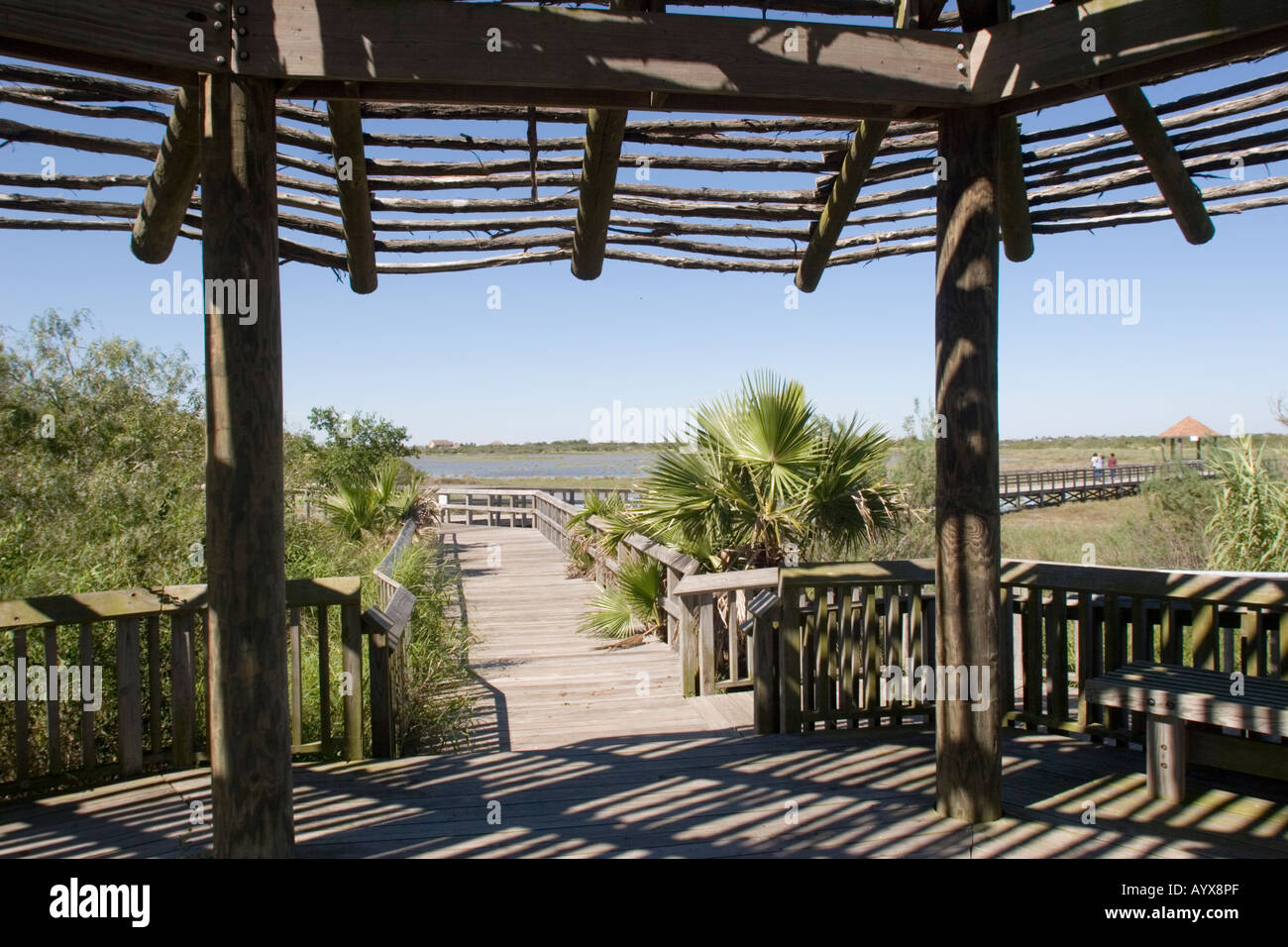 Corpus Christi Botanical Gardens Nature Center Has Become The