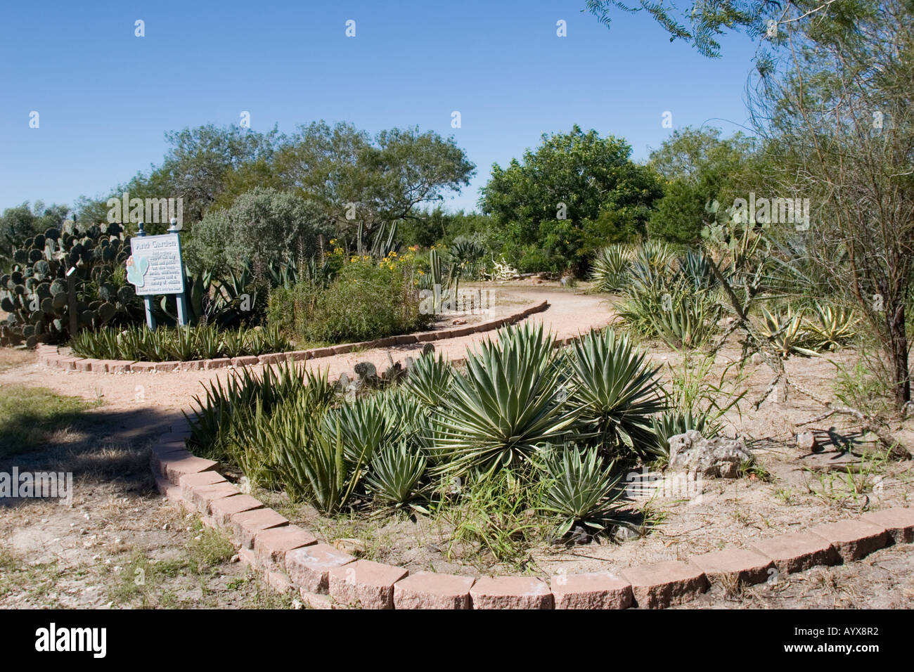 Corpus Christi Botanical Gardens Nature Center Has Become The