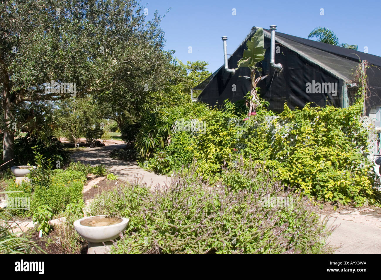 Corpus Christi Botanical Gardens Nature Center Has Become The