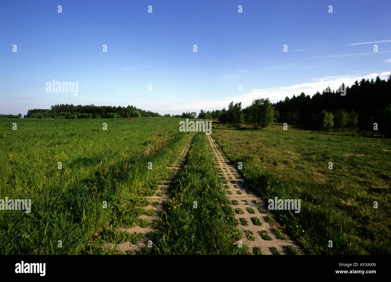 GERMANY DDR BORDER TANK TRACKS COLD WAR Stock Photo - Alamy