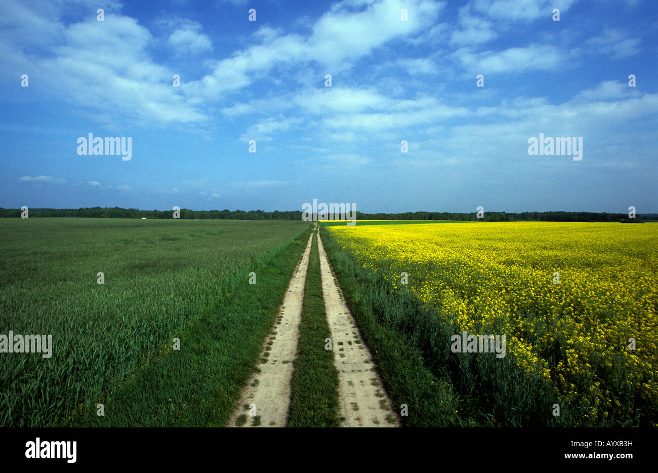 GERMANY POINT ALPHA DDR NUCLEAR ATOMIC FULDA GAP COLD WAR OBSERVATION