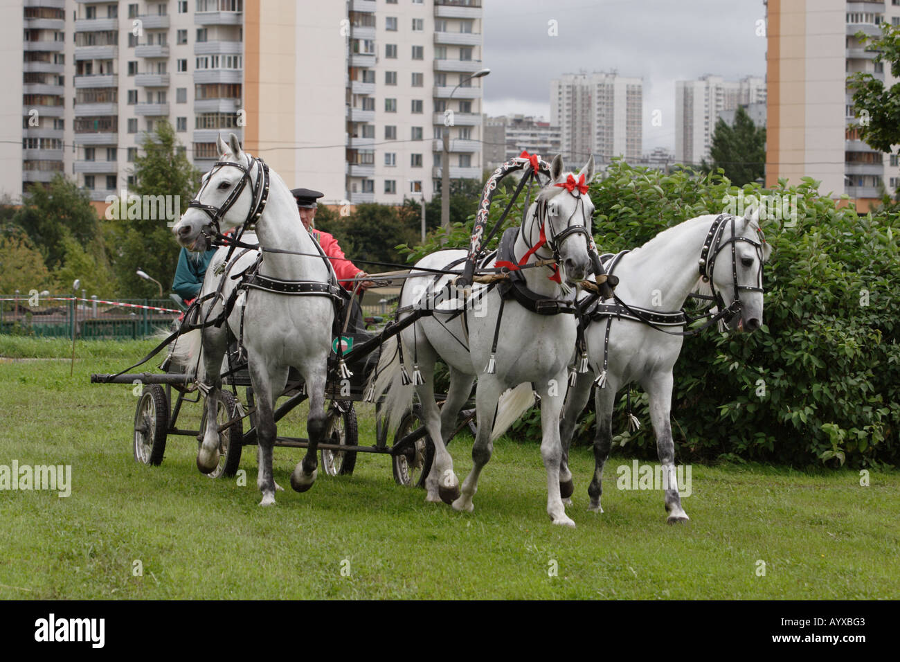 Russian troika Stock Photo: 9825858 - Alamy