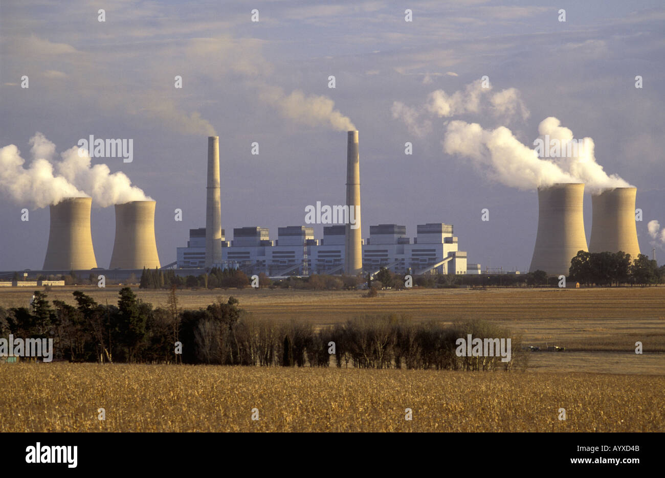 Kinros Hi res Stock Photography And Images Alamy kinros-hi-res-stock-photography-and-images-alamy