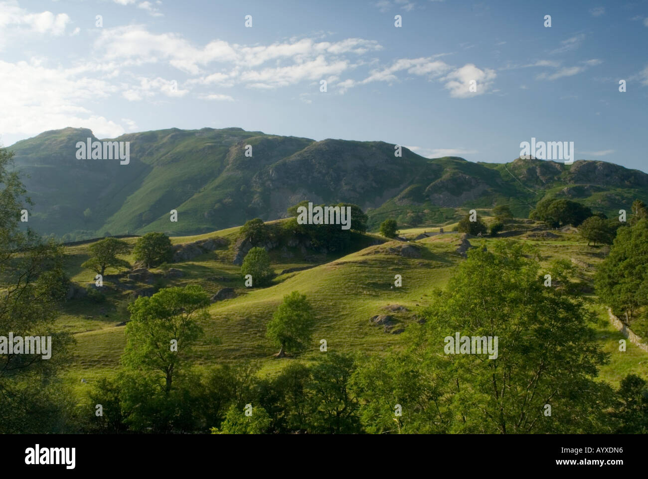 Green rolling hills hi-res stock photography and images - Alamy
