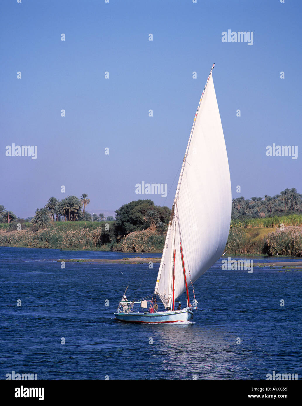 Nillandschaft, Segelschiff, Feluke auf dem Nil, Aegypten Stock Photo ...