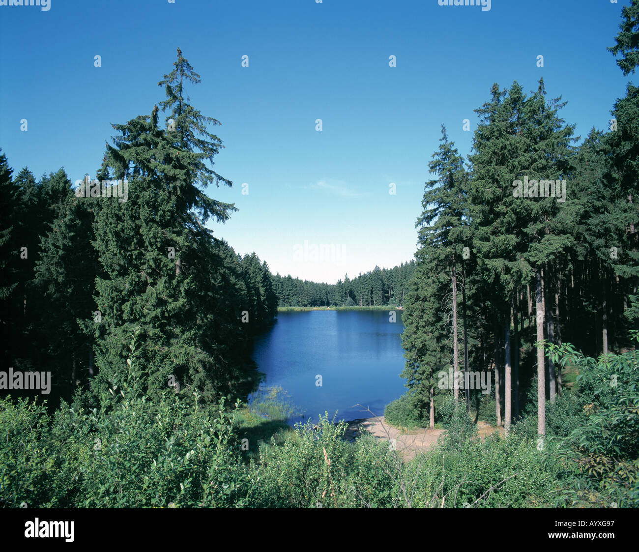 Hahnenklee bockswiese hires stock photography and images Alamy