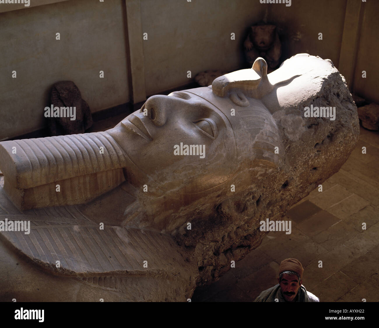 Koloss von Ramses II in Memphis, Skulptur, Statue, Museum Stock Photo