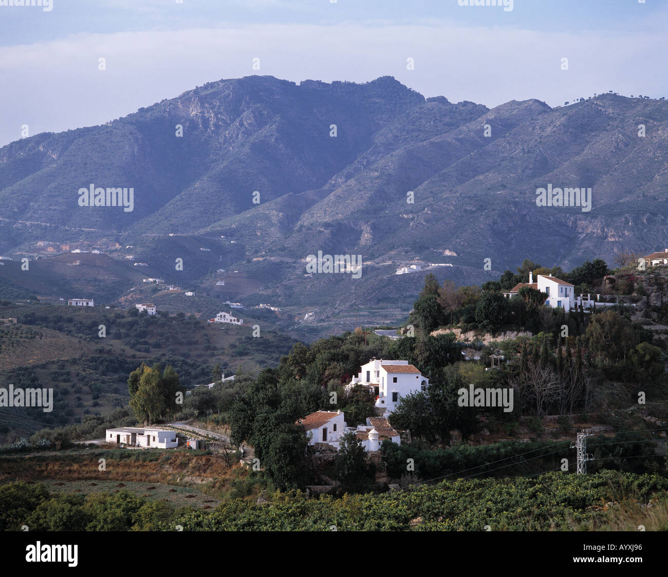 Berglandschaft, Sierra de Almijara, weisse Haeuser an einem Berghang, Frigiliana, Malaga, Andalusien Stock Photo