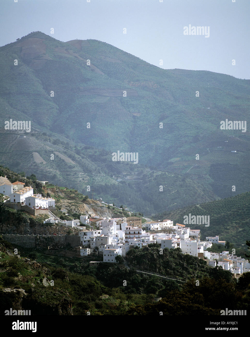 Berglandschaft, Sierra de Chaparral, Stadt am Berghang, weisse Haeuser, weisse Stadt, Otivar, Granada, Andalusien Stock Photo
