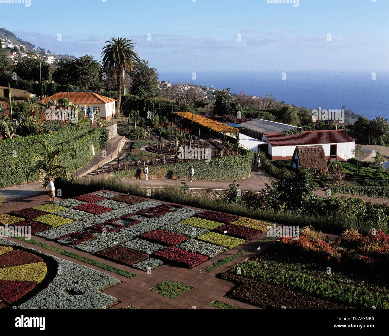 Botanischer Garten in Funchal, Madeira Stock Photo Alamy