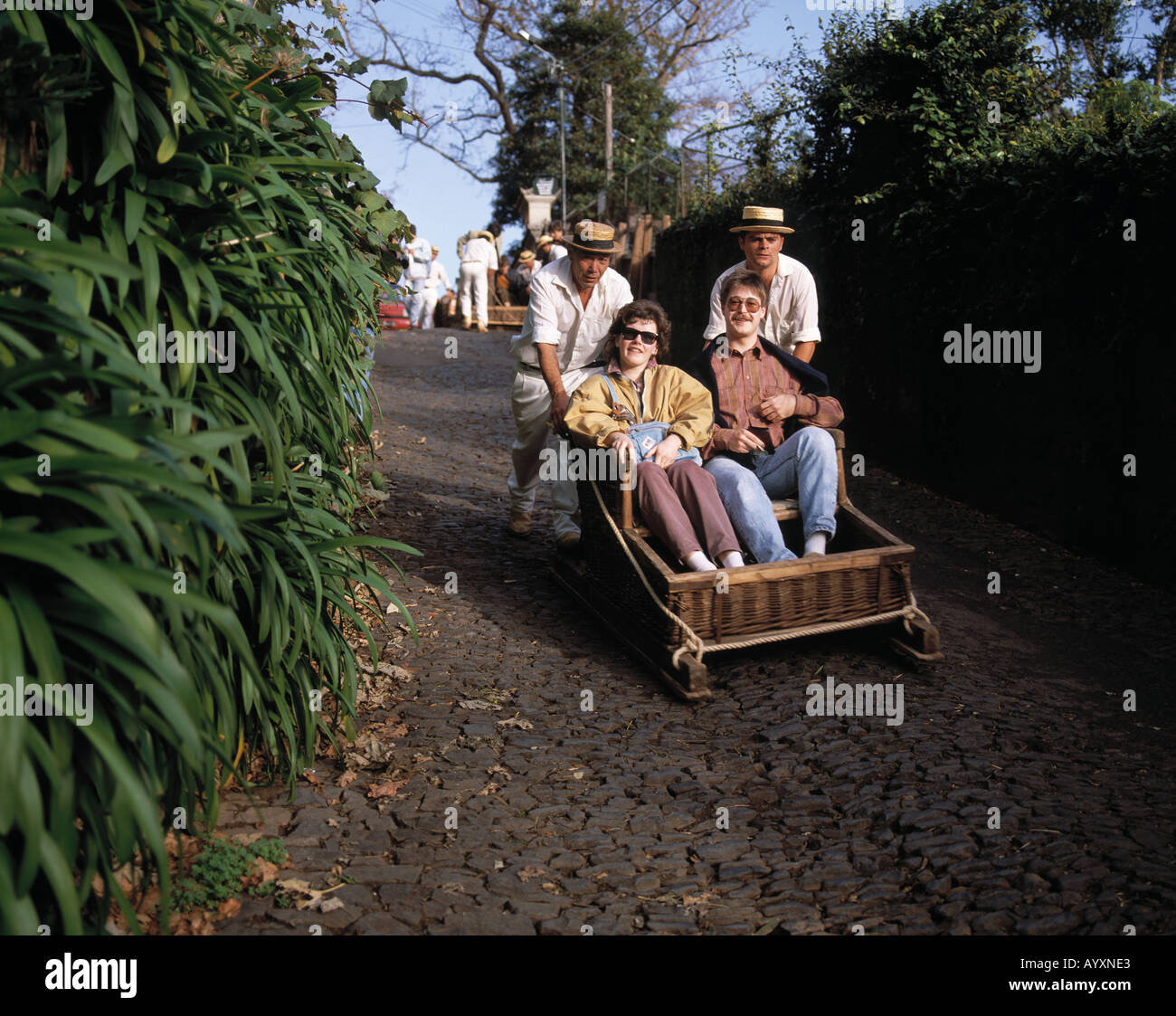 Portugal, Madeira, PFunchal, PFunchalMonte, toboggan, tourists Stock