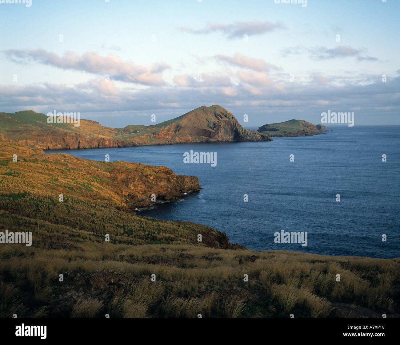 Kuestenlandschaft Ponta de Sao Lourenco in Canical auf Madeira Stock Photo