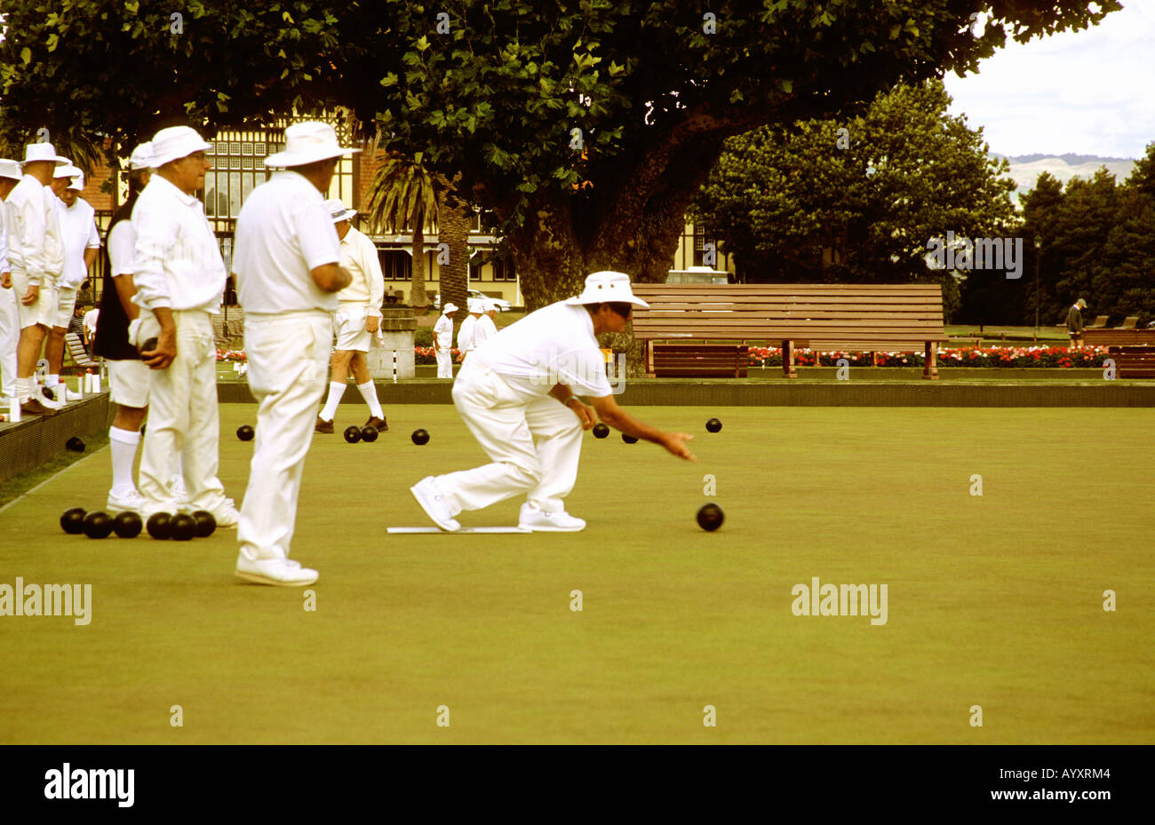 new zealand player checking positions of bowls in rotorua bowling club Stock Photo