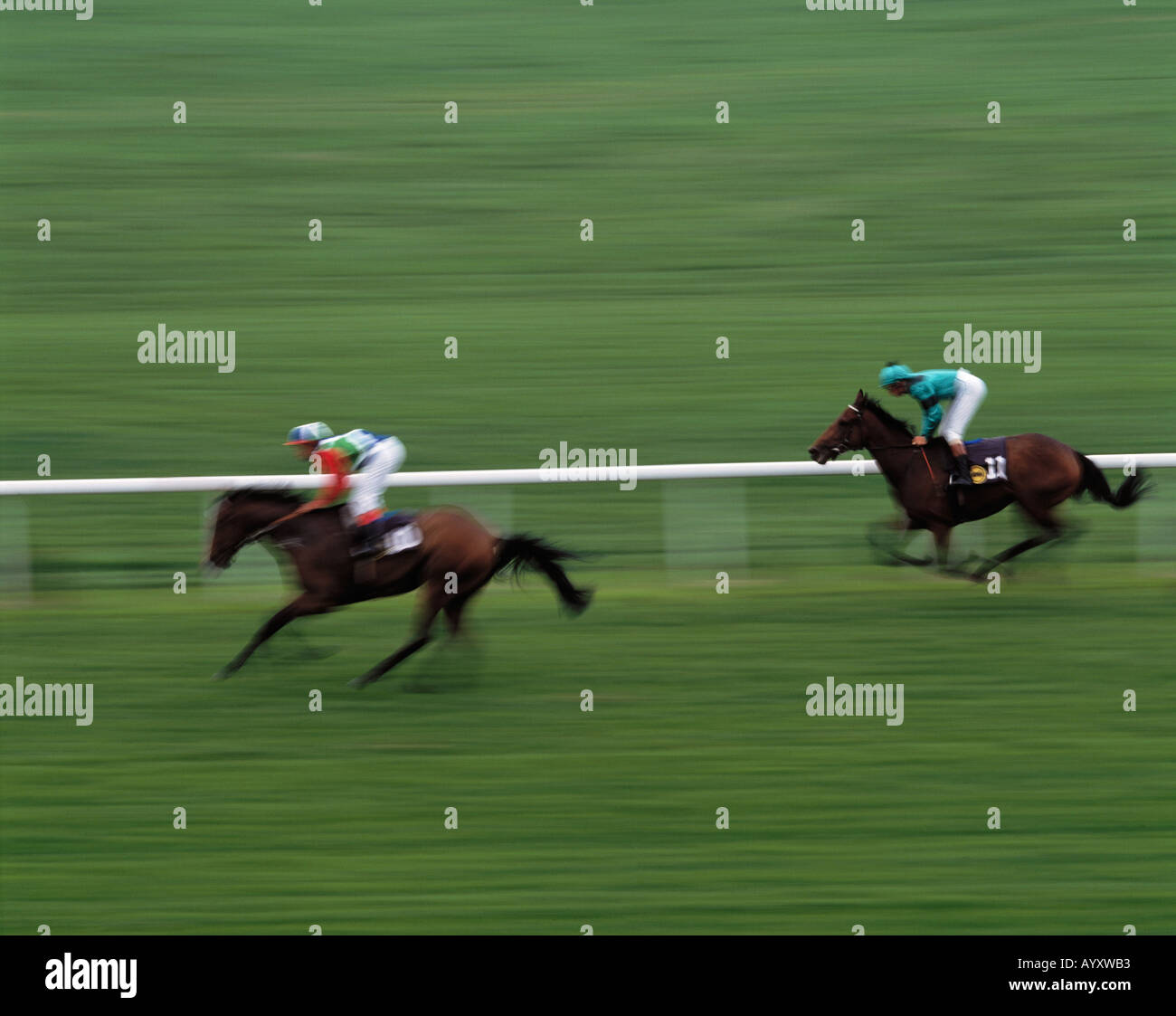 Galopper High Resolution Stock Photography and Images - Alamy