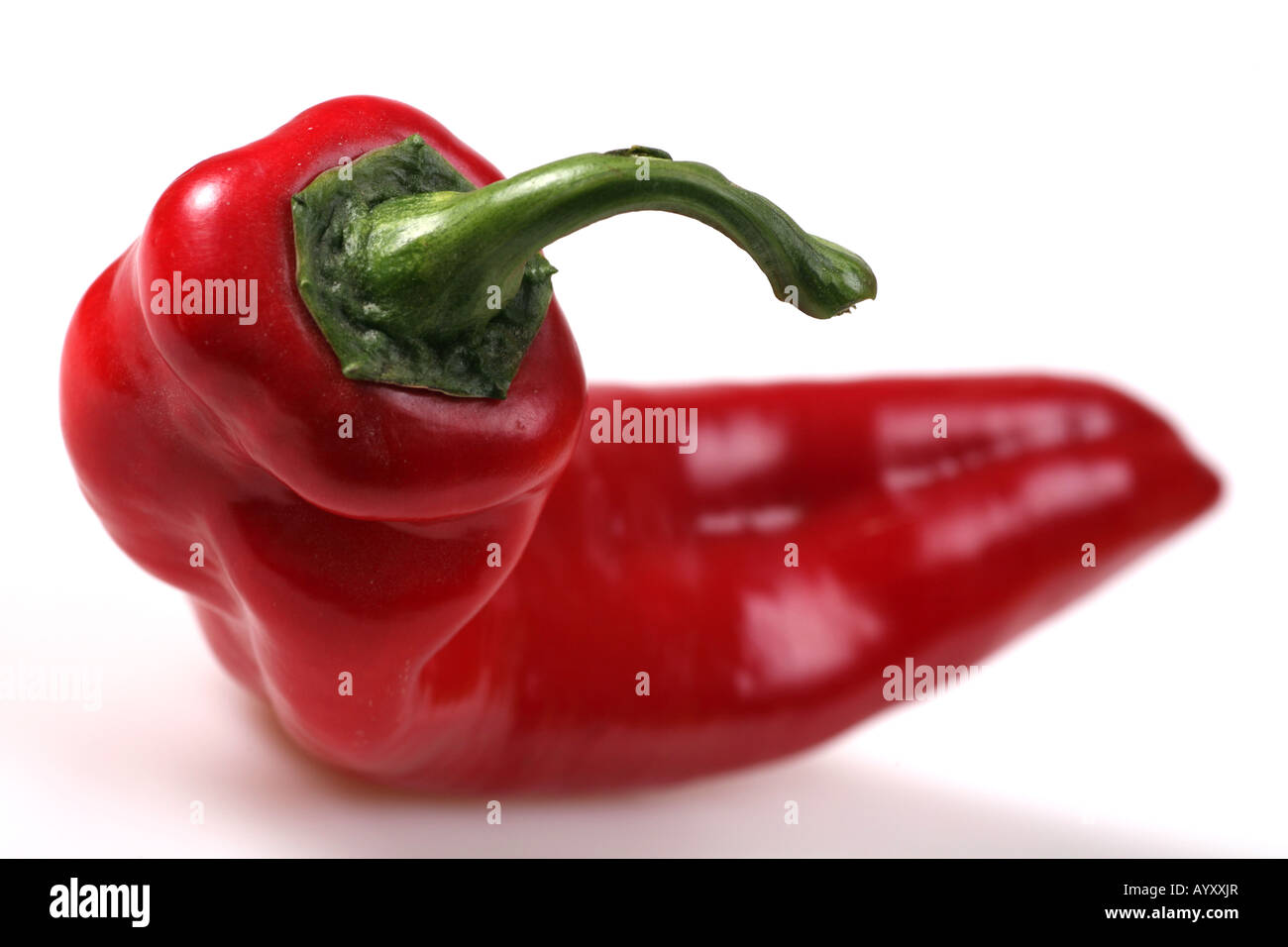 Red Chili pepper Stock Photo - Alamy