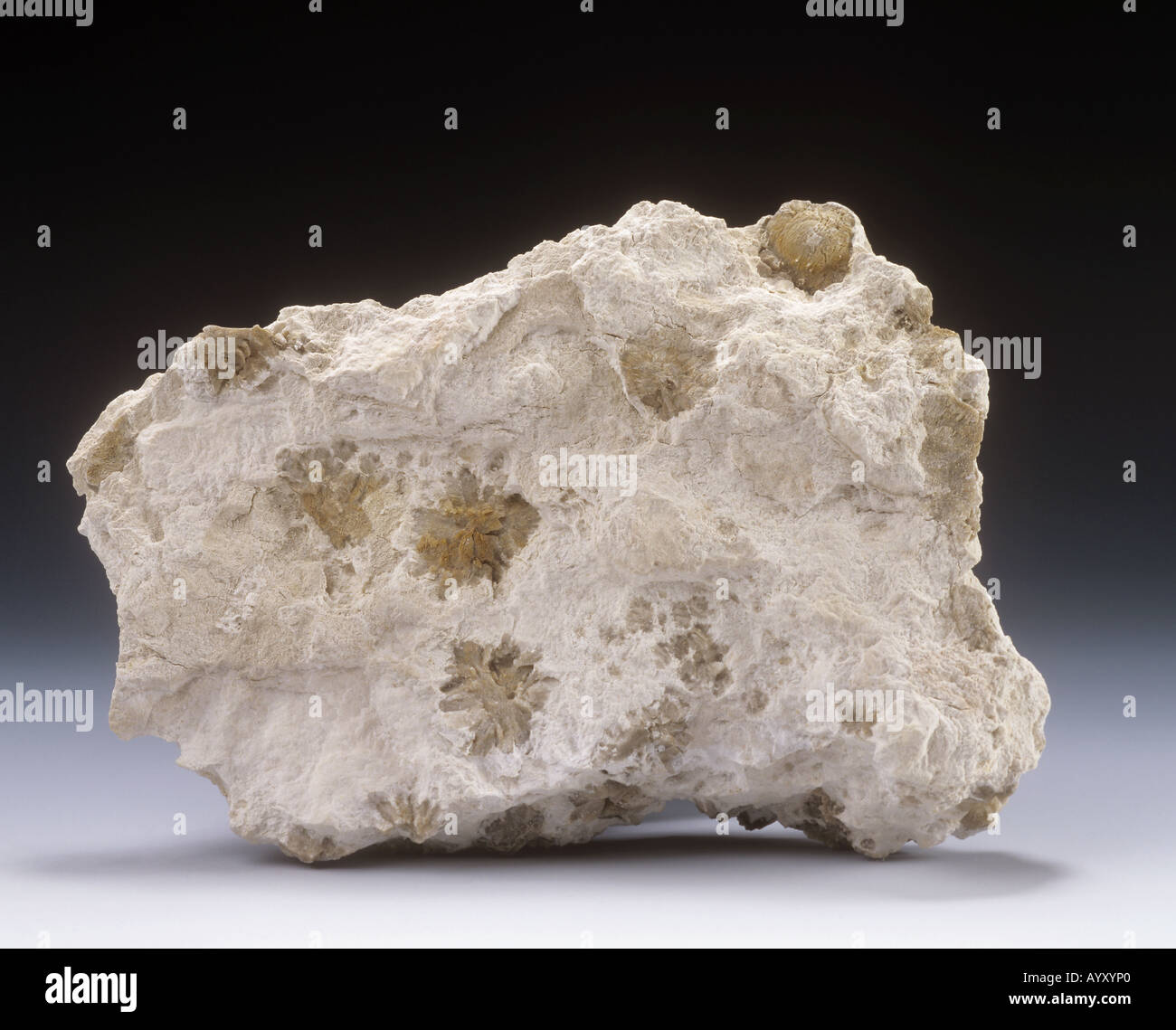 Anhydrite Stock Photo