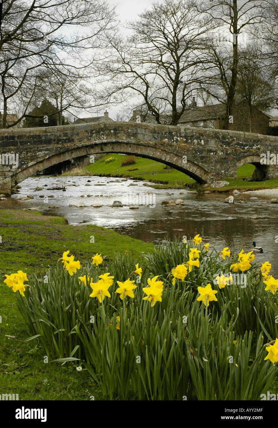 View of Linton Bridge Yorkshire Dales in the Spring Stock Photo Alamy