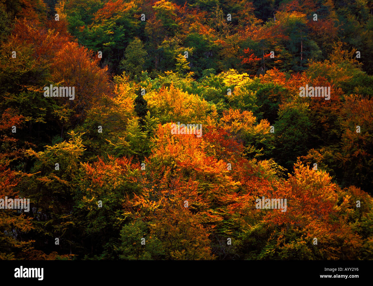 Season colors hi-res stock photography and images - Alamy