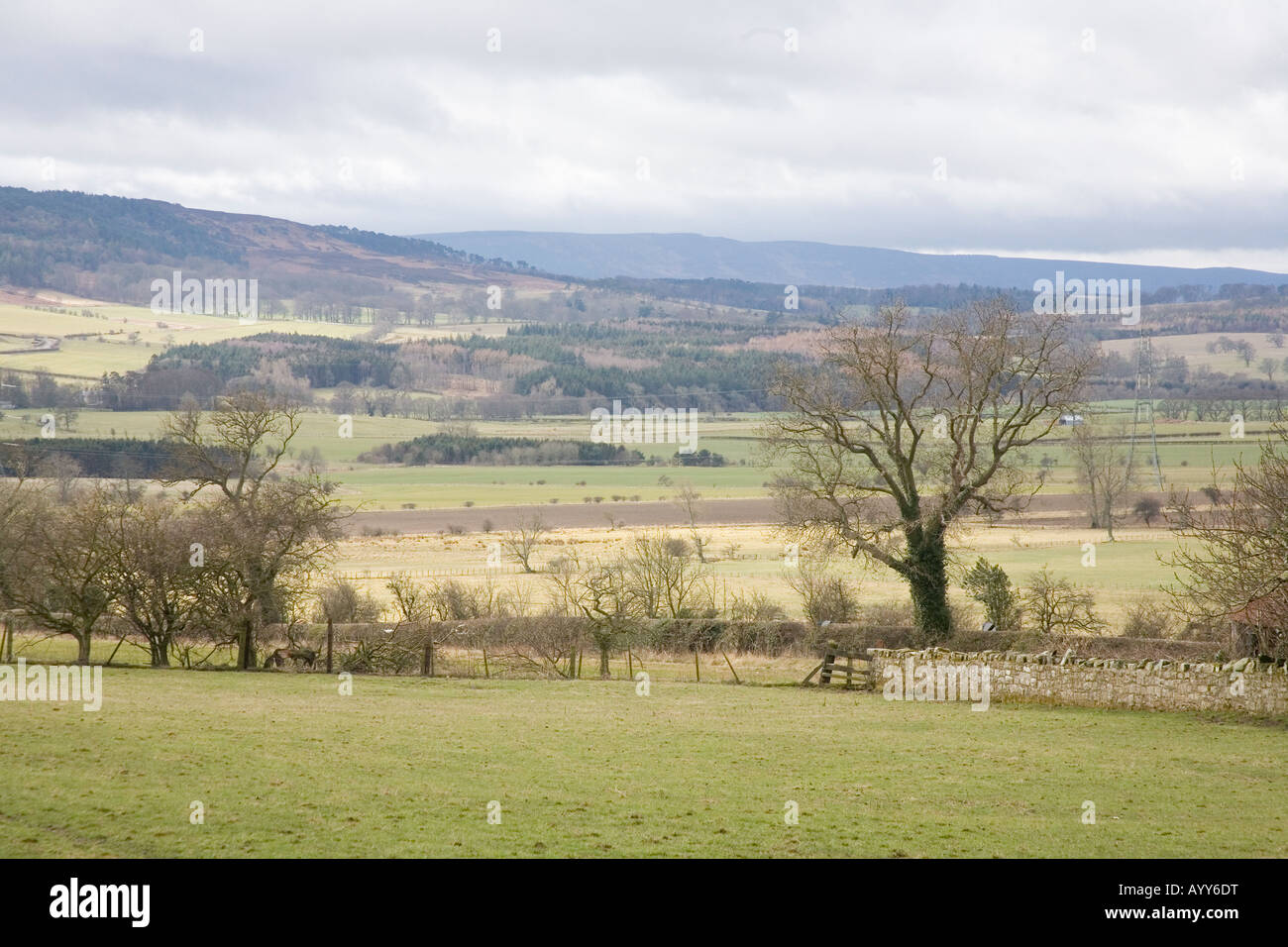 Rural farm fields near glanton northumberland hi-res stock photography ...