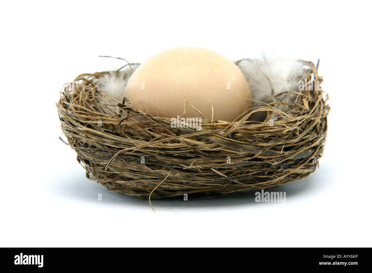 brown egg in a nest isolated on white background Stock Photo